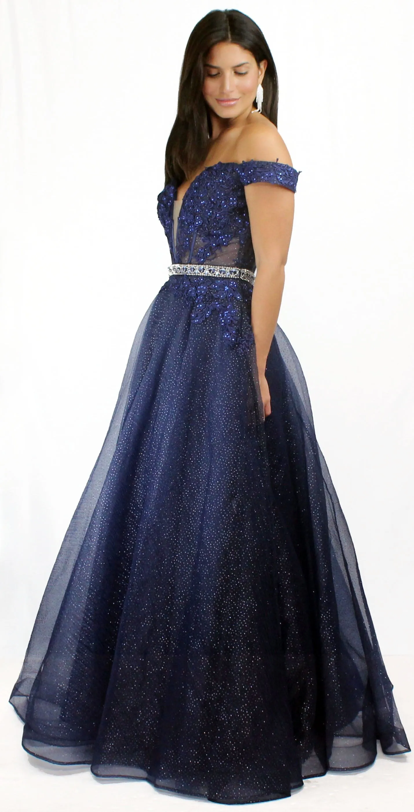 Queen of the Evening Navy Ball Gown